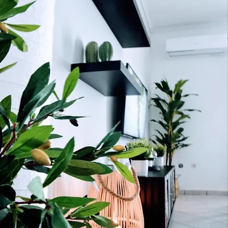 Ilianna's Lux In